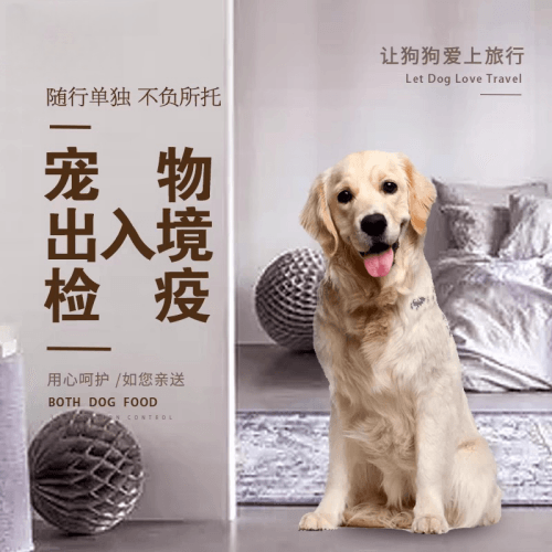 怀化市宠物托运到哥伦比亚猫狗宠物入境规定和