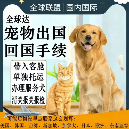 怀化市宠物托运到柬埔寨宠物入境规定和要求