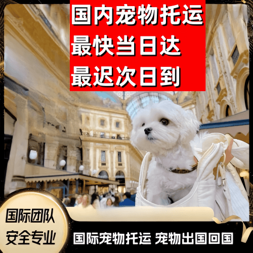怀化市到澳大利亚（澳洲）宠物入境规定和要求