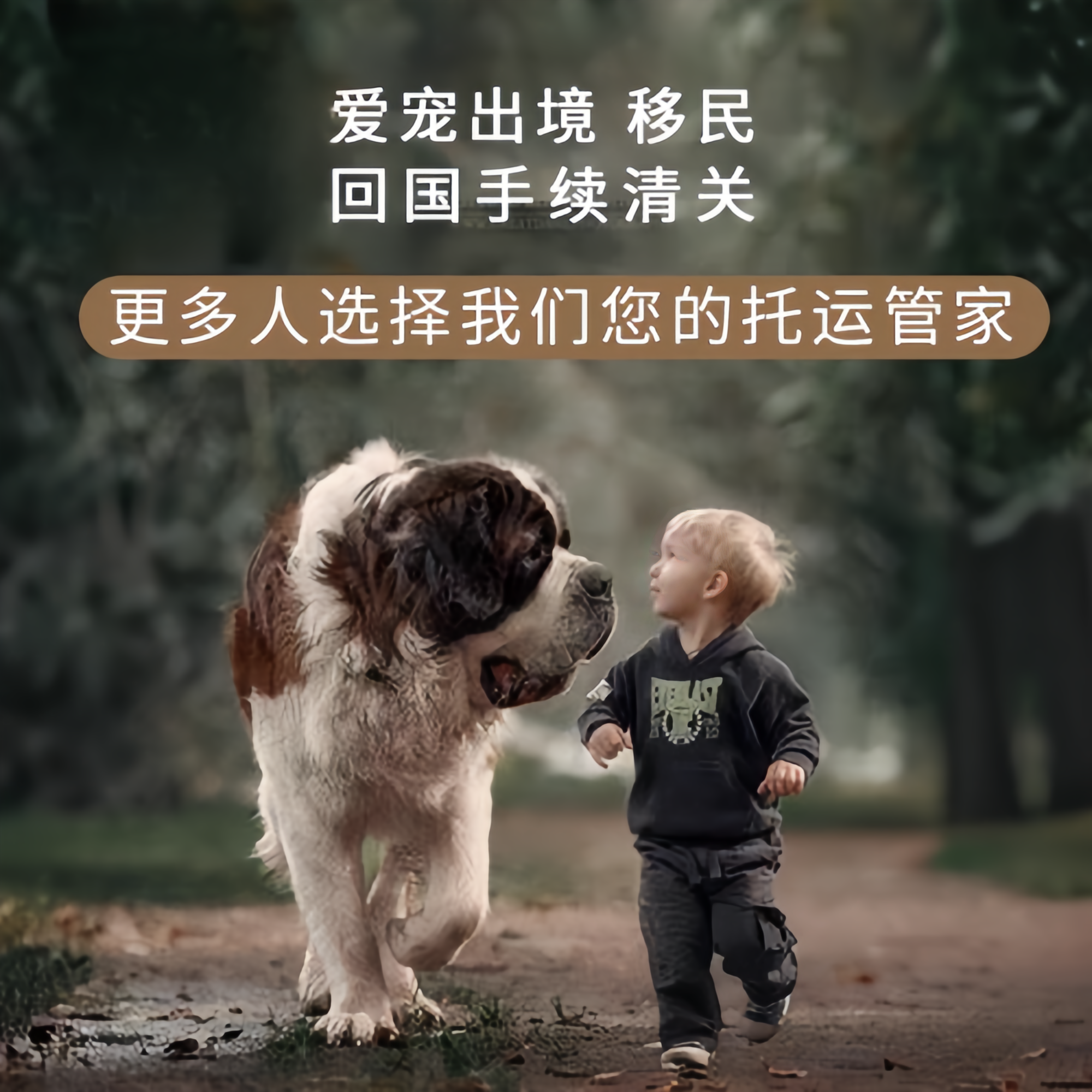 满财怀化市宠物全球达宠物托运在遵守入境目的地政策的条件