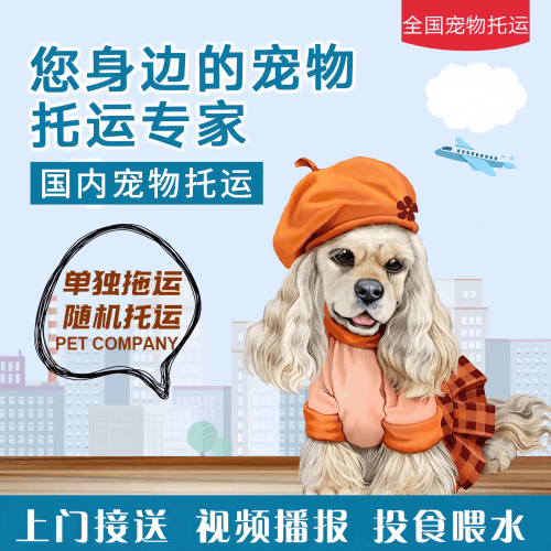 满财怀化市宠物全球达宠物托运作为专业的宠物运输代理机构